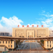 安徽阜阳技师学院